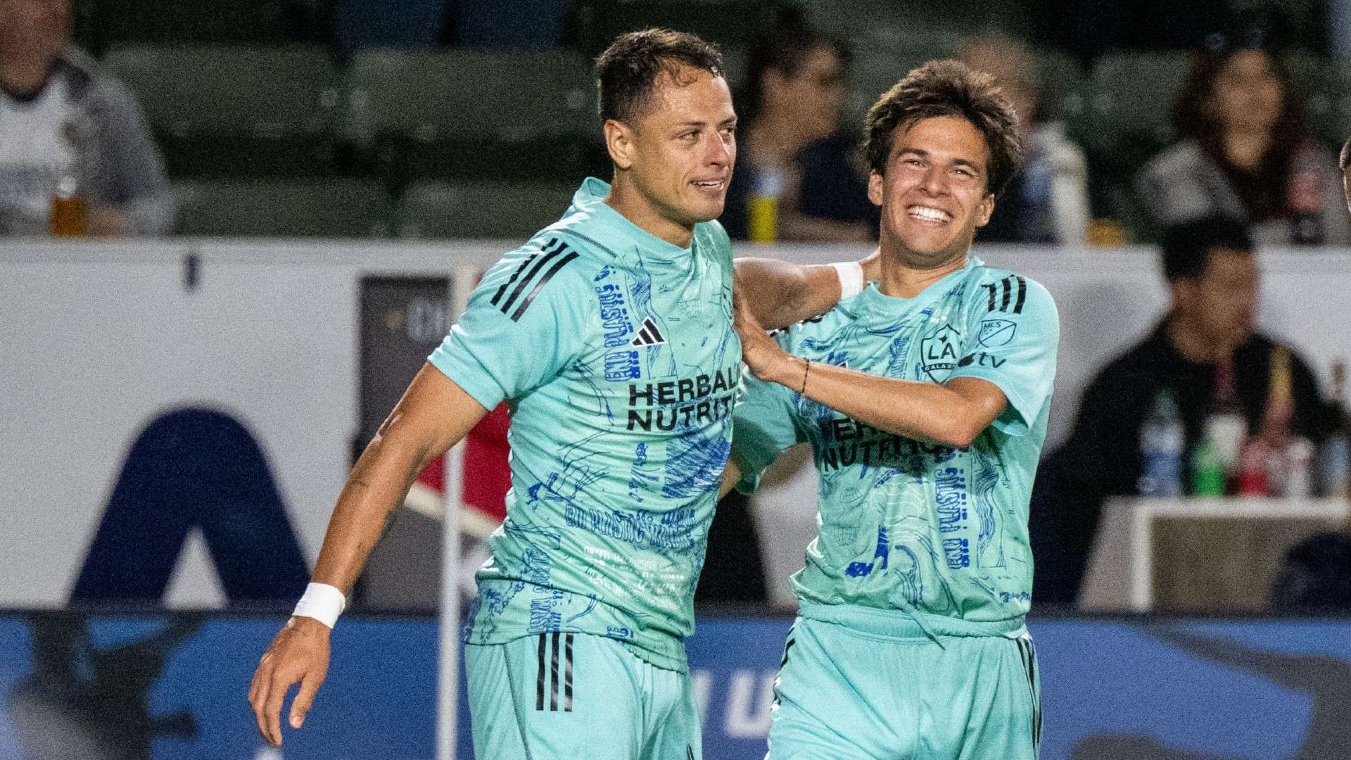 综观全局 综观全局